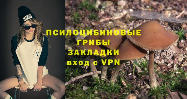 спиды Ельня