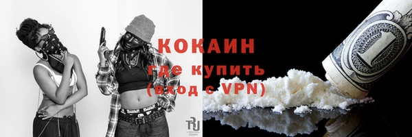 спиды Ельня