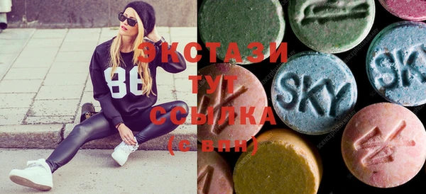 спиды Ельня