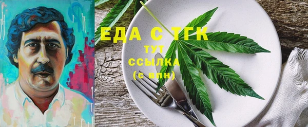 спиды Ельня