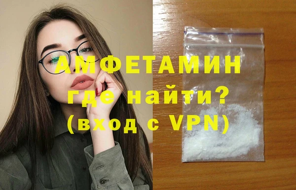 спиды Ельня