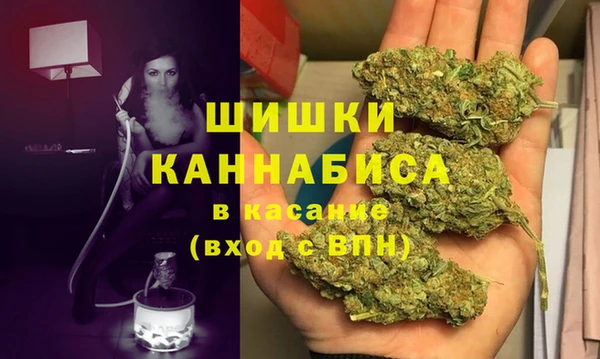 спиды Ельня