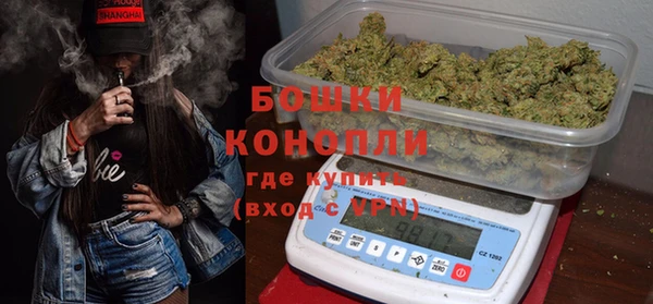 спиды Ельня