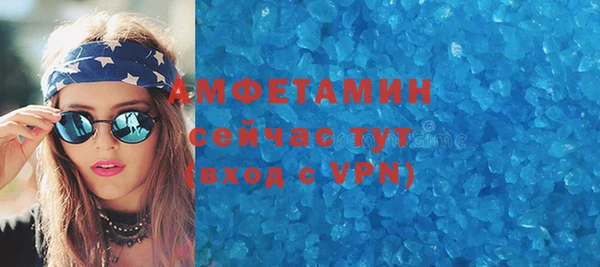 спиды Ельня