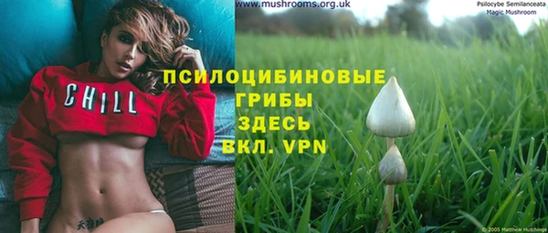 гашиш Елизово