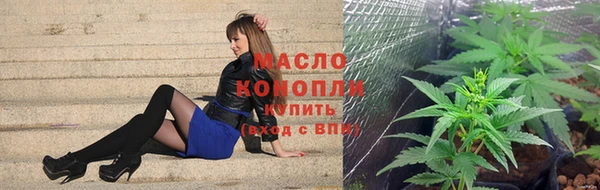 спиды Ельня