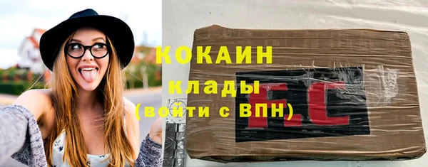 спиды Ельня